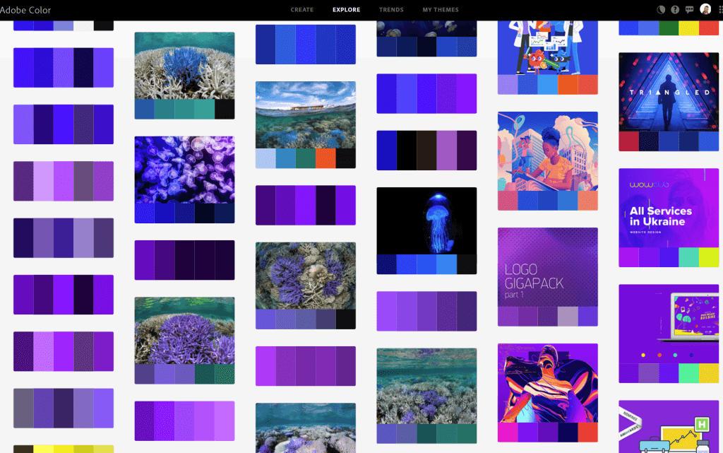 Con la sezione Explore di Adobe Color puoi accedere ad una collezione di "palette colori" bilanciate